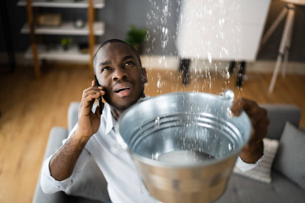 Best Water damage restoration specialists  in Buckeystown, MD