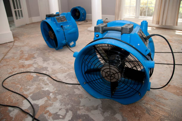 Best Commercial water damage restoration  in Buckeystown, MD
