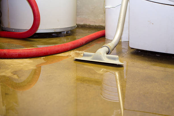 Best Water damage cleanup near me  in Buckeystown, MD