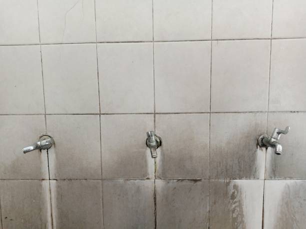 Best Fire Damage Restoration  in Buckeystown, MD