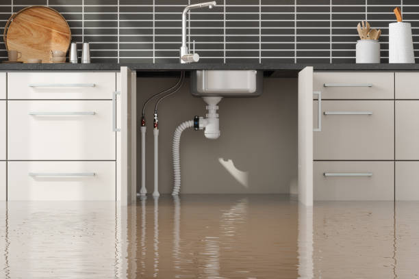 Best Ceiling water damage repair  in Buckeystown, MD